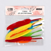 Набор перьев для декора 10 шт., размер 1 шт: 15 &times; 1,5 см, цвета МИКС