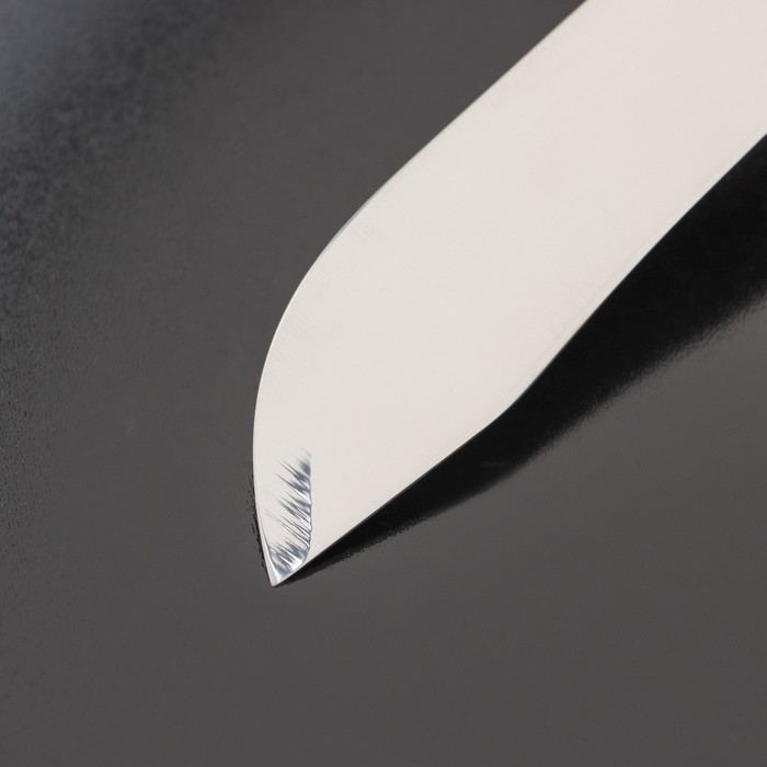 Нож для мяса и стейков Доляна &laquo;Мачете&raquo;, лезвие 17,5 см