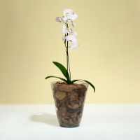 Горшок для орхидей, 1,5 л, 13 &times; 17 см, пластик, прозрачно-серый