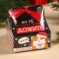 Набор: печенье с предсказанием, шоколад и бумажка для исполнения желаний &laquo;Котэ&raquo;