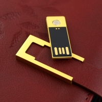 Родословная книга со встроенной флешкой 16 Gb &laquo;Книга всей семьи&raquo;, 17,5 х 23 см.