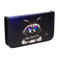 Пенал 1 секция, 115 х 205 мм, с наполнением 16 предметов, Calligrata "Енот" ламинированный картон, 30П26/set Пенал 1 секция, 115 х 205 мм, с наполнением 16 предметов, Calligrata "Енот" ламинированный картон, 30П26/set