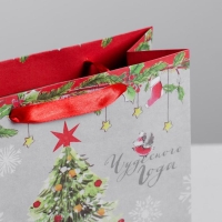 Пакет подарочный новогодний крафтовый вертикальный &laquo;Новогоднего чуда&raquo;, 23 х 27 х 11,5 см, Новый год