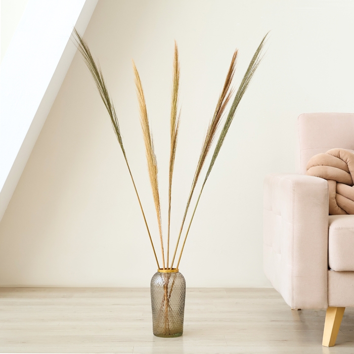 Сухоцветы для декора &laquo;Камыш&raquo;, набор 5 шт. 113 &times; 5 &times; 5 см