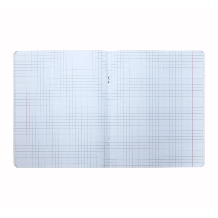 Тетрадь 48 листов клетка Тетрадь 48 листов клетка "-Hogwarts Legacy-Гарри Поттер", обложка мелованный картон, скругленные углы, блок 65 г/м2, 5В МИКС