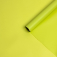 Пленка для цветов, матовая, светло-салатовый, 0,57 х 10 м Пленка для цветов, матовая, светло-салатовый, 0,57 х 10 м