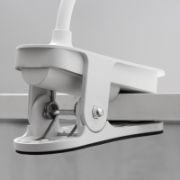 Настольная лампа на прищепке "Птичка" LED 3000-6000К 5Вт USB золото 20х7х34см RISALUX Настольная лампа на прищепке "Птичка" LED 3000-6000К 5Вт USB золото 20х7х34см RISALUX