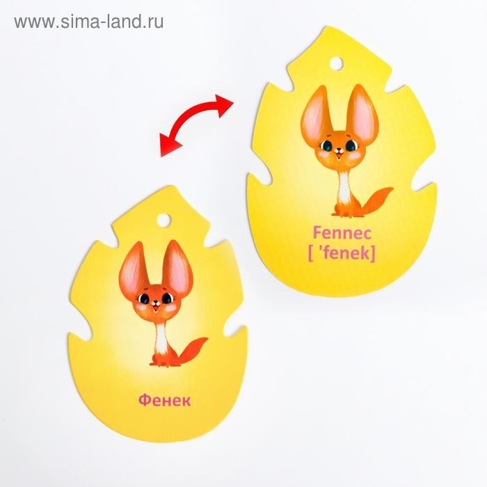 Карточки на кольце для изучения английского языка &laquo;Джунгли и сафари&raquo;, 20 карт, кольцо, 3+