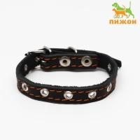 Ошейник кожаный однослойный, безразмерный, 37 х 1.5 см, ОШ 21-32 см, чёрный Ошейник кожаный однослойный, безразмерный, 37 х 1.5 см, ОШ 21-32 см, чёрный