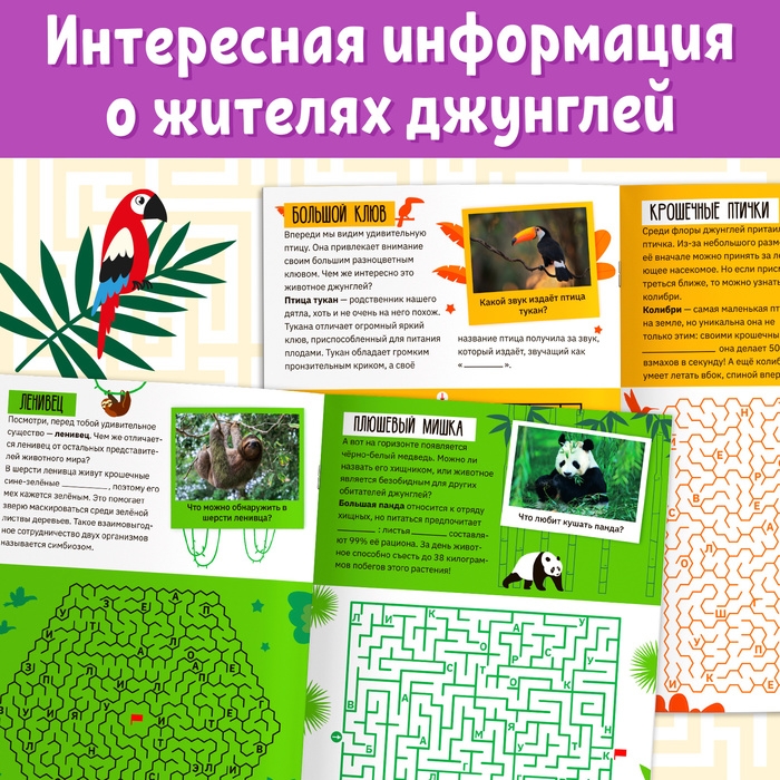 Книга &laquo;Лабиринты и факты. Удивительный подводный мир&raquo;, 24 стр.3