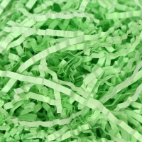 Наполнитель бумажный, салатовый, 100 г Наполнитель бумажный, салатовый, 100 г