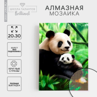 Алмазная мозаика с полным заполнением на холсте &laquo;Панда&raquo;, 20 х 30 см