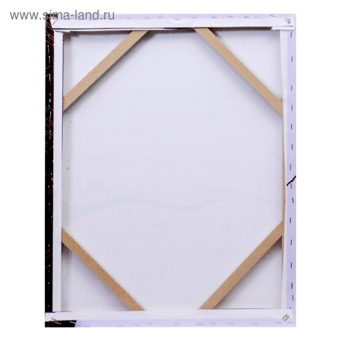 Картина на холсте "Правила дома" совята 40х50 см