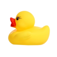 Набор игрушек для ванны &laquo;Поймай уточку&raquo;, 5 предметов, цвета МИКС