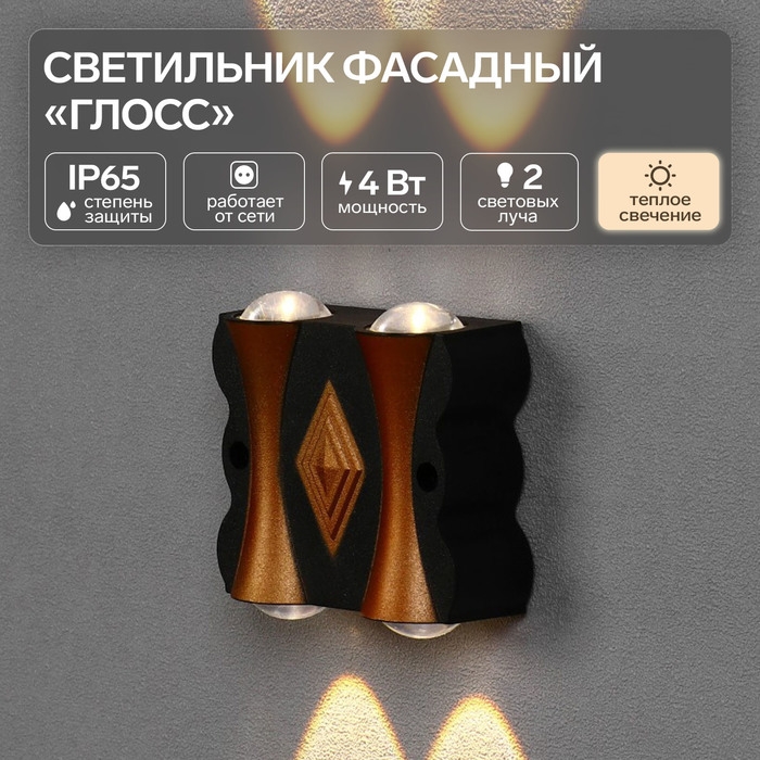 Светильник фасадный &laquo;Глосс&raquo;, FSD-046, 4 Вт, 3000К, 2 луча, IP65, 220 В, пластик, черный