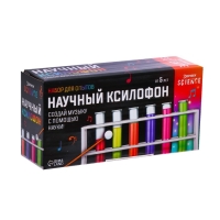 Набор для опытов &laquo;Научный ксилофон&raquo;