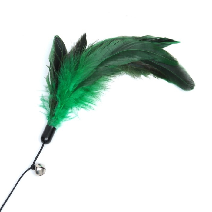 Дразнилка-удочка с пёрышками на деревянной палочке, 40 см, микс цветов Дразнилка-удочка с пёрышками на деревянной палочке, 40 см, микс цветов