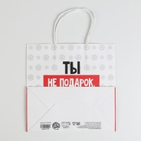 Пакет подарочный новогодний &laquo;Ты не подарок&raquo;, 22 х 22 х 11 см