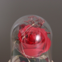 Ночник «Роза» LED 3хААА красный 9,5х9,5х14см Ночник «Роза» LED 3хААА красный 9,5х9,5х14см