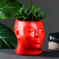 Горшок - органайзер "Голова" красный, 1,3 л / 16х16х14см Горшок - органайзер "Голова" красный, 1,3 л / 16х16х14см