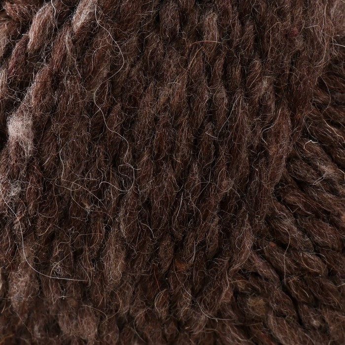 Пряжа Пряжа "Смесовая" 30% шерсть, 70% акрил 200м/200гр (517-Коричн.меланж)