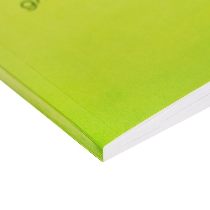 Альбом для рисования А4, 40 листов на склейке "Авокадо", обложка мелованный картон, блок 100 г/м&sup2;