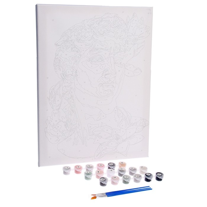 Картина по номерам на холсте с подрамником &laquo;Давид&raquo;, 30х40 см