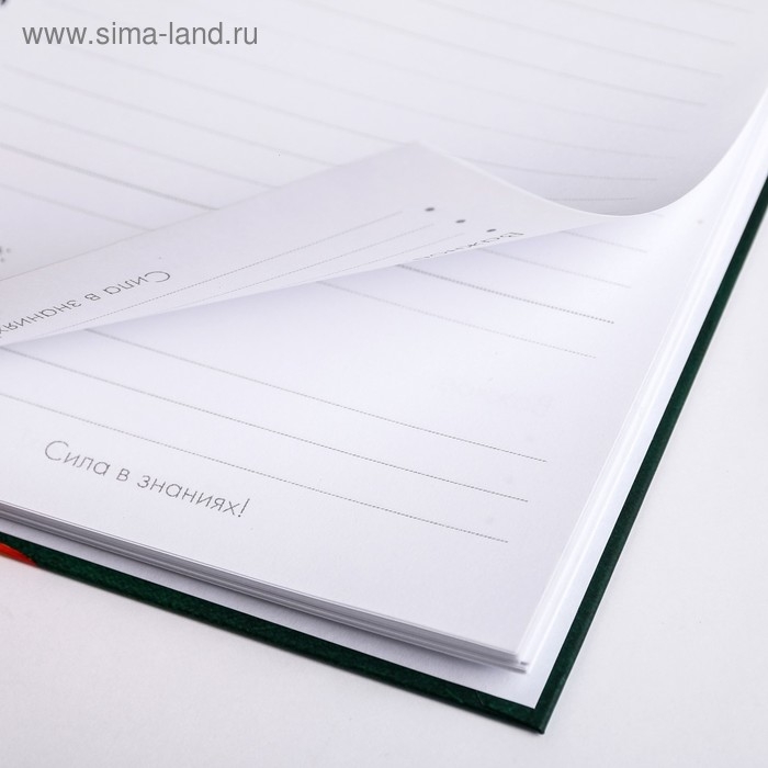 Ежедневник на гребне «Лучшему учителю», формат А5, 60 листов Ежедневник на гребне «Лучшему учителю», формат А5, 60 листов