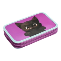 Пенал 2 секции, 125 х 205 х 40 мм, Calligrata 30П26/2 "Котик черный", ламинированный картон Пенал 2 секции, 125 х 205 х 40 мм, Calligrata 30П26/2 "Котик черный", ламинированный картон