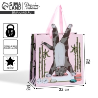 Пакет подарочный, упаковка, &laquo;Йога&raquo;, 22 х 22 х 10 см