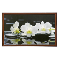 Картина "Белые цветы" 67х107 см