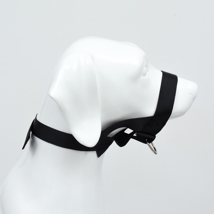 Недоуздок-намордник для собак строгий, размер XL, ОM 23-34 см, ОШ 20-28 см, черный Недоуздок-намордник для собак строгий, размер XL, ОM 23-34 см, ОШ 20-28 см, черный