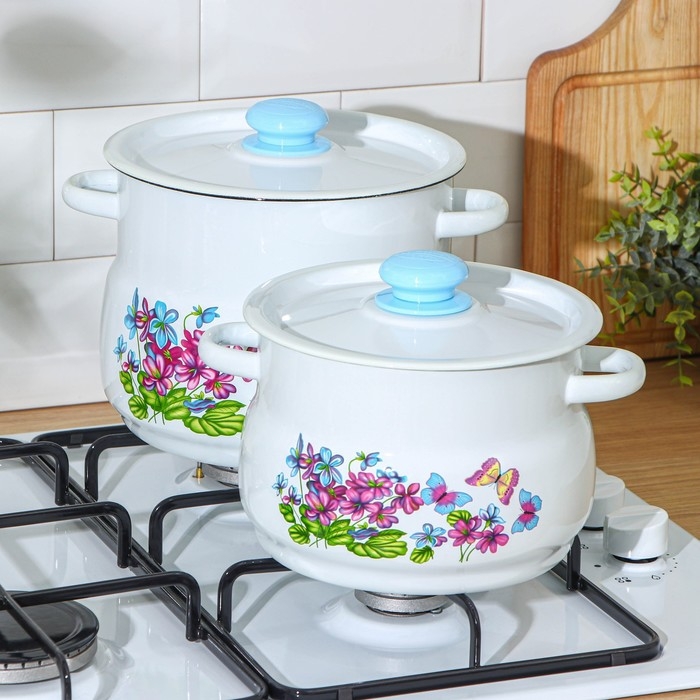 Набор кастрюль &laquo;Фиалка&raquo;, 2 предмета: 4 л, 5,5 л, индукция, цвет МИКС