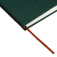 Ежедневник недатированный A5, 96л, лин, держатель для телефона/планшета/ручки, Зеленый Ежедневник недатированный A5, 96л, лин, держатель для телефона/планшета/ручки, Зеленый