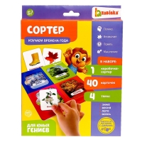 Сортер &laquo;Изучаем времена года&raquo; с карточками Домана