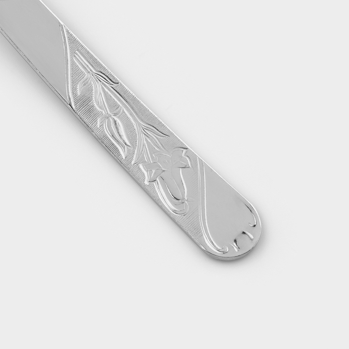 Ложка столовая «Эконом», h=20 см, толщина 1.5 мм, цвет серебряный Ложка столовая «Эконом», h=20 см, толщина 1.5 мм, цвет серебряный