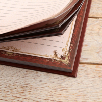 Родословная книга в шкатулке &laquo;Древо жизни&raquo;, 56 листов, 20 х 26 см.