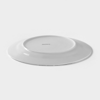 Тарелка фарфоровая обеденная Доляна &laquo;Пташка&raquo;, d=25,3 см, цвет белый