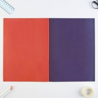 Набор &laquo;1 сентября:Для отличной учёбы&raquo;, цветной картон 8 листов, 8 цветов, плотность 220 г/м односторонний, цветная бумага 8 листов, 8 цветов, двухсторонний, формат А4