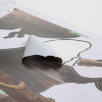 Наклейка 3Д интерьерная Мост 90*60см Наклейка 3Д интерьерная Мост 90*60см