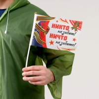 Карнавальный набор &laquo;Мы помним, мы гордимся!&raquo;, р. 42&ndash;54, дождевик, флажок