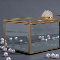 Органайзер для хранения «MOUNTAINS», с крышкой, стеклянный, с зеркальным дном, 1 секция, 21,5 × 10,5 × 7,5 см, цвет прозрачный/медный Органайзер для хранения «MOUNTAINS», с крышкой, стеклянный, с зеркальным дном, 1 секция, 21,5 × 10,5 × 7,5 см, цвет прозрачный/медный