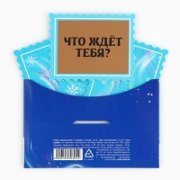 Набор предсказаний на Новый Год в конверте «Новогодняя коллекция: Волшебство зимы», 8 х 12 см Набор предсказаний на Новый Год в конверте «Новогодняя коллекция: Волшебство зимы», 8 х 12 см