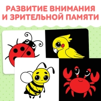 Картонная книга для новорожденных &laquo;Контрастные картинки&raquo;, 10 стр., 0+