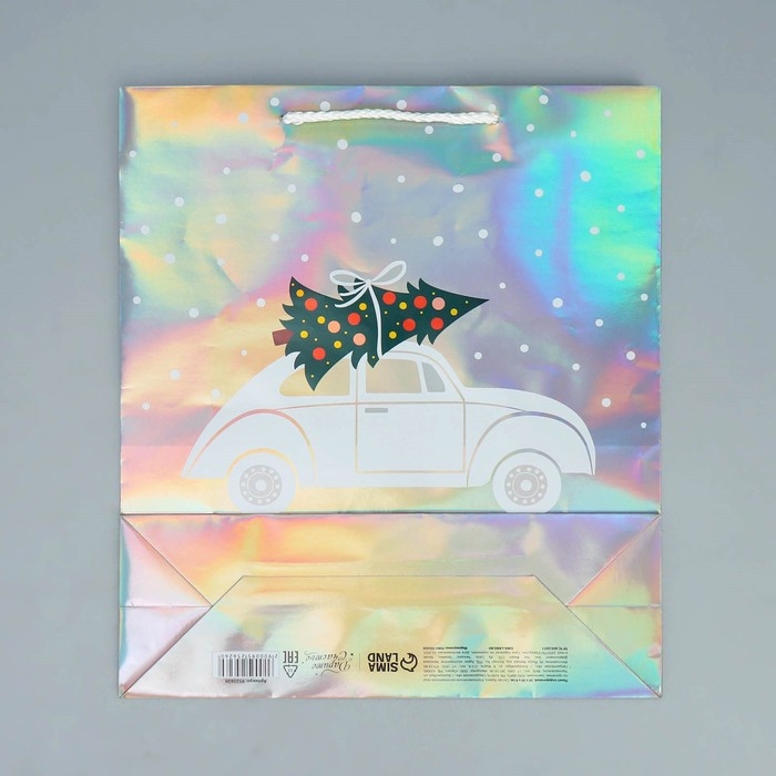 Пакет голографический «Спешу к тебе», M 26 х 30 х 9 см, Новый год Пакет голографический «Спешу к тебе», M 26 х 30 х 9 см, Новый год