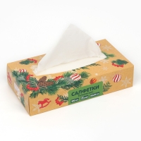 Салфетки бумажные в коробке &laquo;Новый год! Зимний уют&raquo;, 100 шт, двухслойные