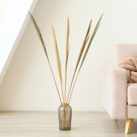 Сухоцветы для декора &laquo;Камыш&raquo;, набор 5 шт. 113 &times; 5 &times; 5 см