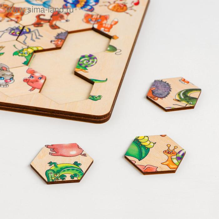 Пазл деревянный «Занимательные соты» Пазл деревянный «Занимательные соты»