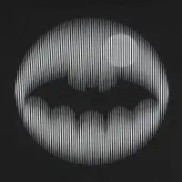 Свитшот Letucci, черный, размер L