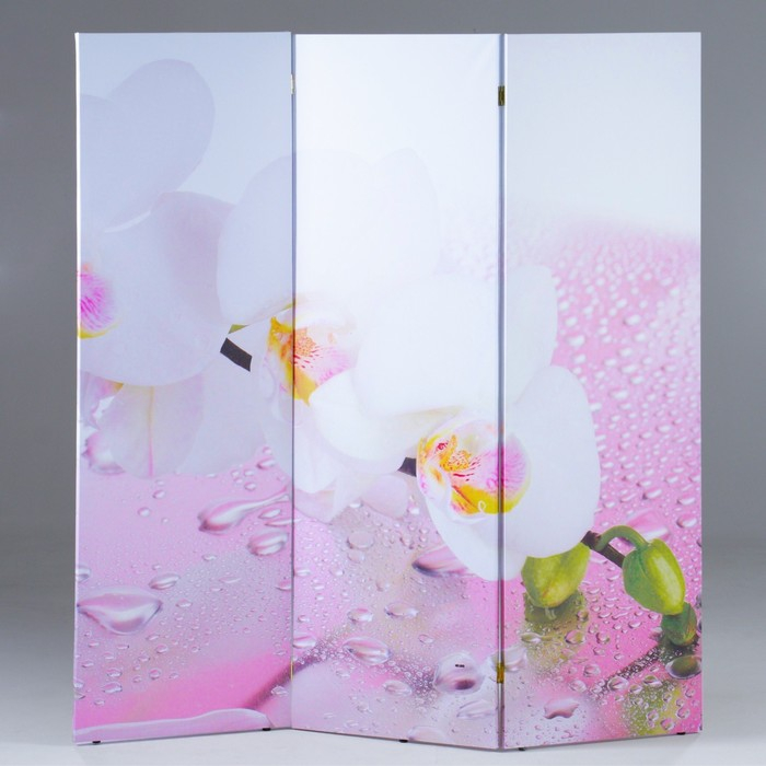 Ширма "Орхидея и капли воды", 150 х 160 см